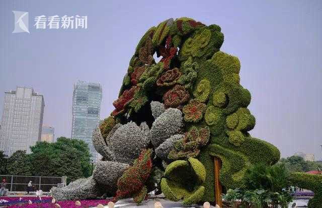 曾鳴:泛在電力物聯網與能源革命