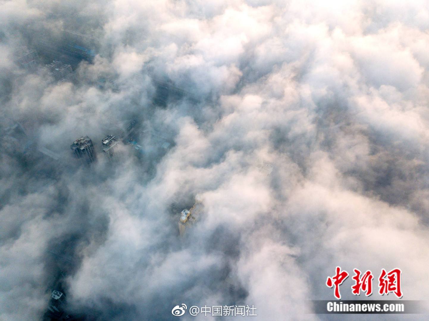 分析∣云計算技術(shù)與信息安全