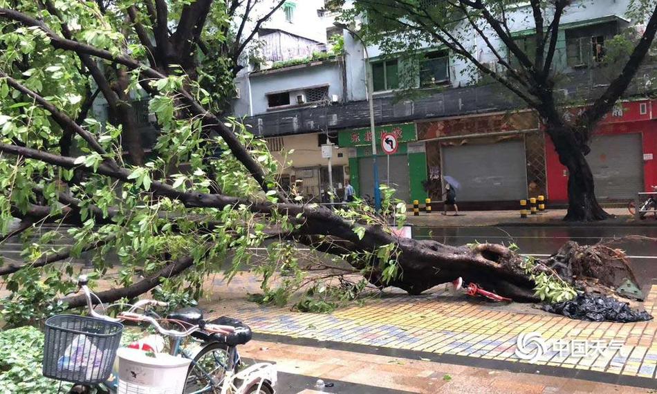 遠光廣安攜手四達時代 助中國制造走出國門