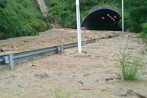 實現零碳：通過向需求端賦權推動清潔電氣化