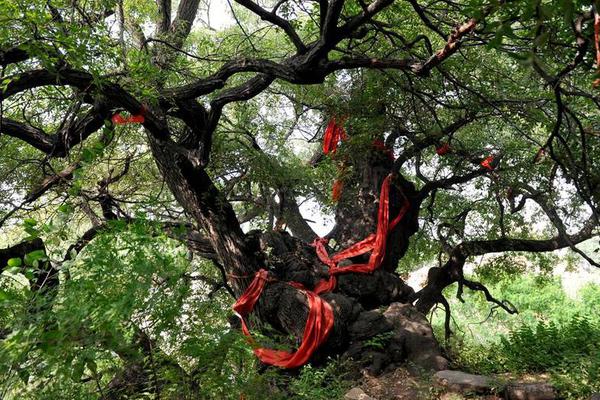 濟(jì)南軌交R3線裴家營(yíng)站將圍擋施工