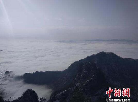 [博海拾貝0306]這個看臉的世界
