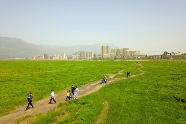 國家能源集團召開氫能產業發展專題會