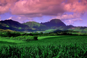 在黃河大集，感受全新的&ldquo;