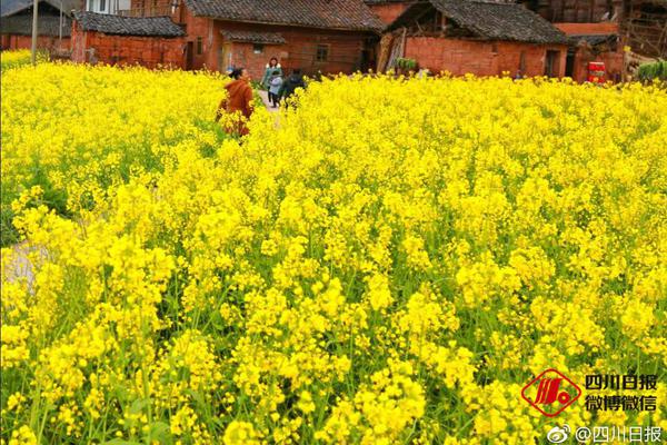 燃料電池膠粘劑“土穰細流” 國產化不盡人意
