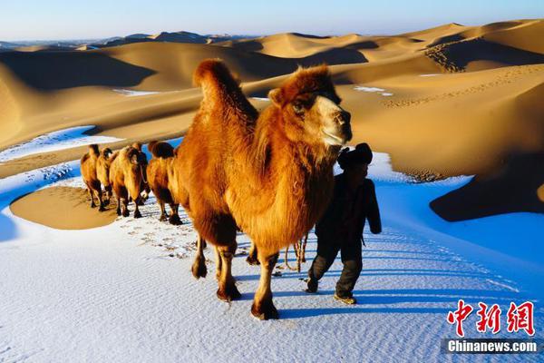 中秋國慶假期旅客吞吐量 預計95萬人次日均同比增長超200%