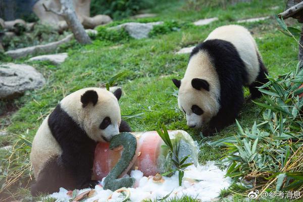 中國石油玉門東160兆瓦光伏制氫項目啟動