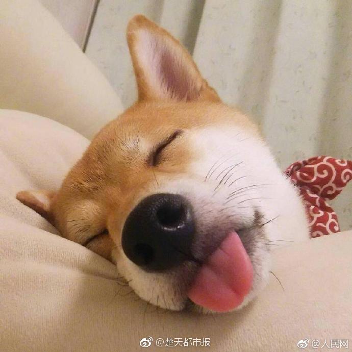 仙俠劇15年：致敬我們的一意孤行與情動于衷
