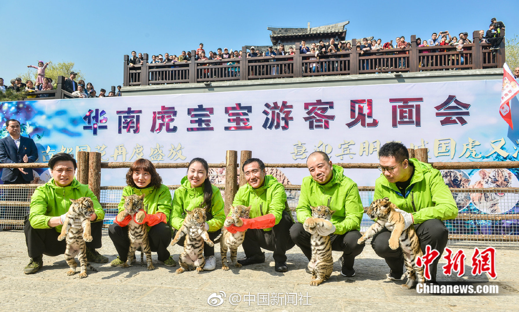 專家:“十三五”是工程項目數(shù)字化的黃金時期