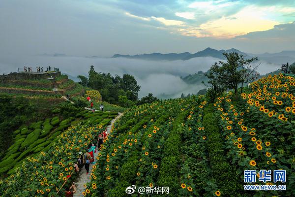 《青海省工業(yè)領(lǐng)域碳達(dá)峰實(shí)施方案》 探索構(gòu)建覆蓋全省的零碳電力系統(tǒng)