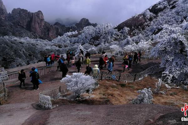 國網重慶電力：推動川渝電網一體化 電靚“雙城時代 ”