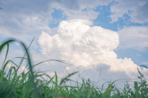 錯誤與偶然：盧本偉奇幻漂流25年