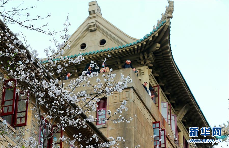 申能能創(chuàng)：控股公司萬噸制氫基地暨加氫母站正式開工