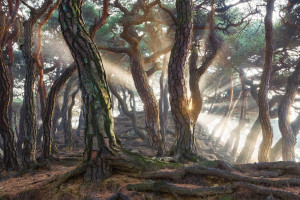 黃河山東段出現本年度首次封河，較常年偏早13天