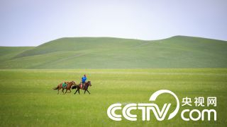 東風氫舟大灣區示范運營全面啟航