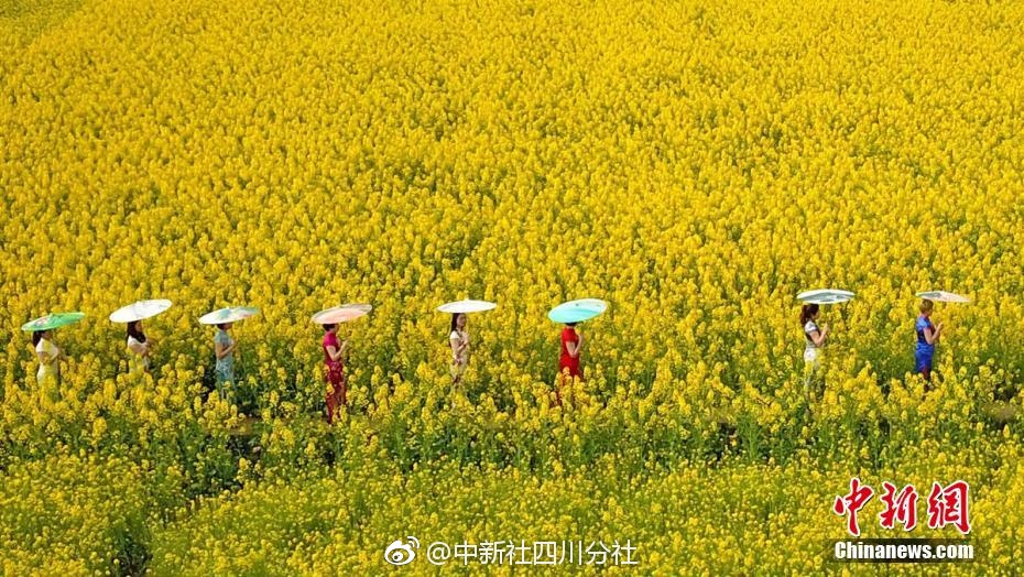 【劇透警告】馬丁新書《血與火》：坦格利安家族史全新內容90條