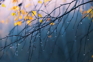 “芯片荒”冰火兩重天：有人囤貨虧了幾百萬，有人采購搶不到單