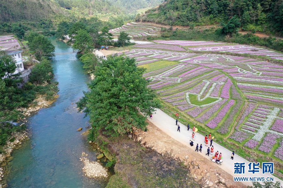 國家電網2021年度總部集中采購批次計劃預安排