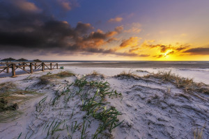 含中石化等牽頭的25個(gè)氫能重點(diǎn)項(xiàng)目！河南加快鄭汴洛濮氫走廊建設(shè)！