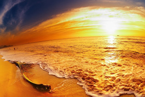 百貨50條，全部是實用的玩意兒（ 11.30）