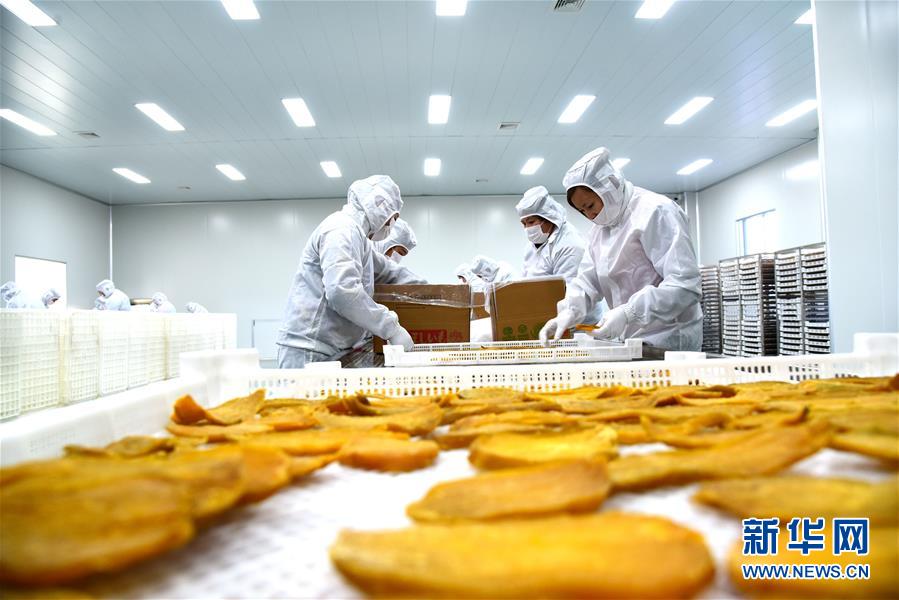 哈密-重慶±800kV特高壓直流輸電工程新疆段率先具備核準條件