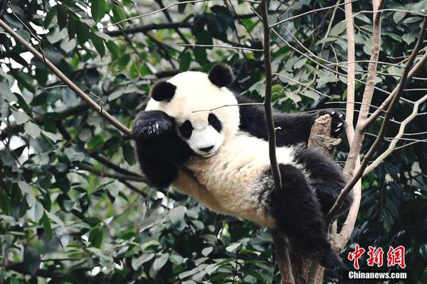 買房貸款批不下來?這6大因素你知道嗎