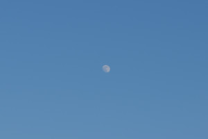 微語(yǔ)錄精選0310：韭菜的一生