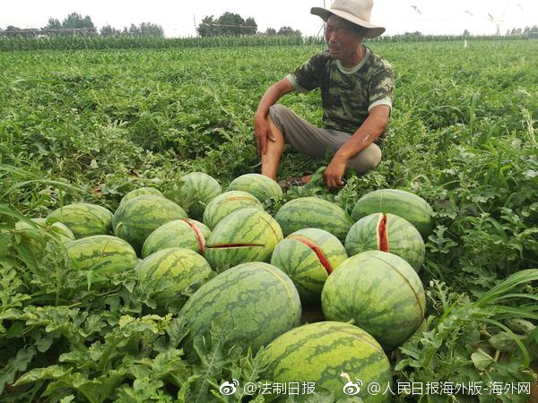 2020年度央企負(fù)責(zé)人薪酬比拼！年薪百萬以上有21位、華潤占高位