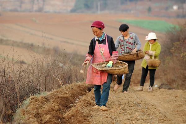 強黨性興調研:省委黨校在職研究生創新黨性教育實踐