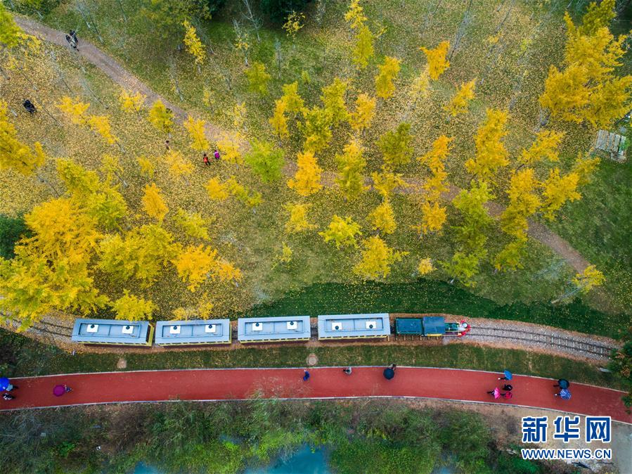 2022年濟南市政協工作綜述:同心筑夢強省會 凝心聚力新征程