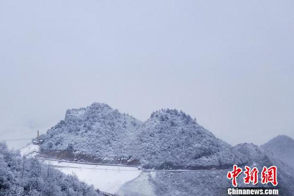 工程院院士衣寶廉：燃料電池已經(jīng)進(jìn)入市場導(dǎo)入階段