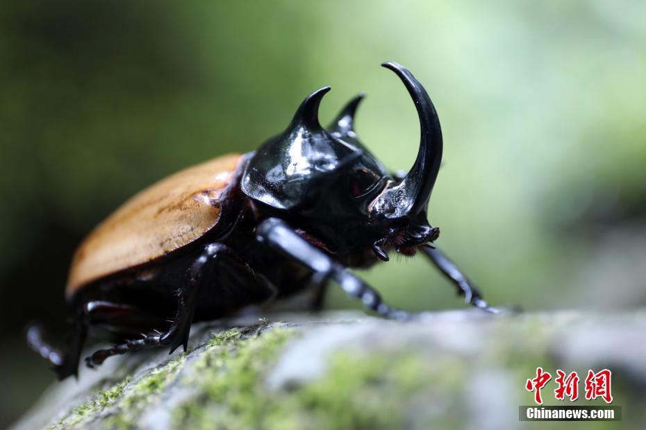 福建莆田供電公司實行配網(wǎng)物資工廠化預(yù)訂