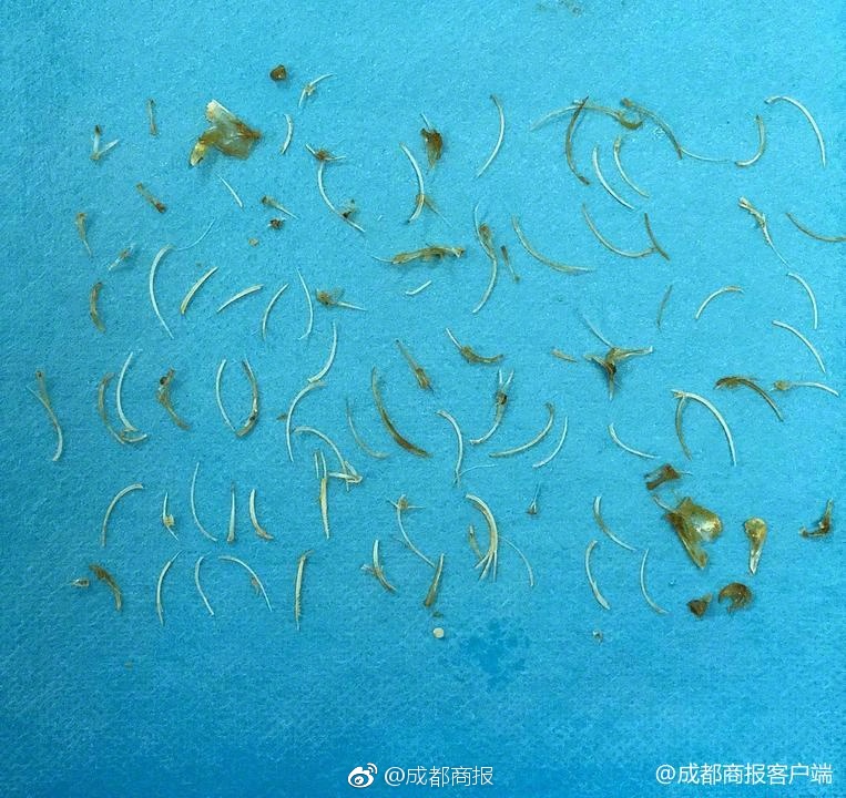 2022能源電力轉(zhuǎn)型國際論壇在京舉行 韓正出席并致辭