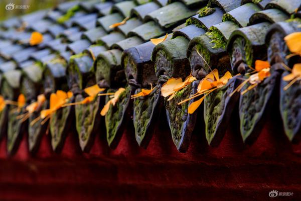 我做獵頭那會(huì)幾乎每個(gè)月都會(huì)聽說一些高管坐牢的新聞