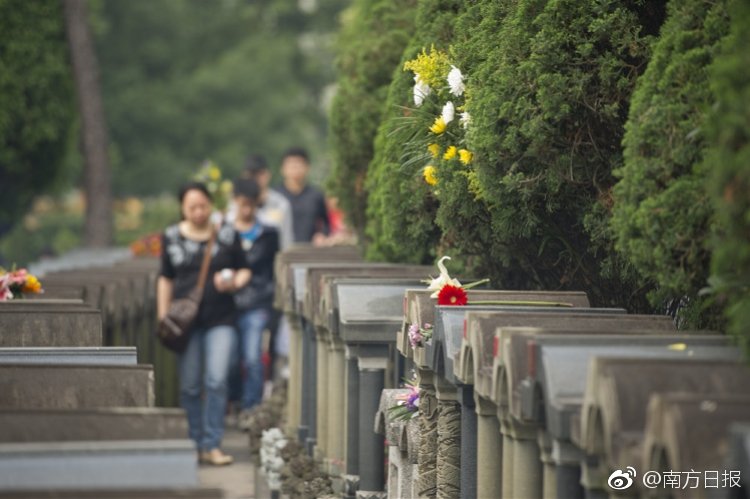 模仿六大平臺跳舞，我尬沒了