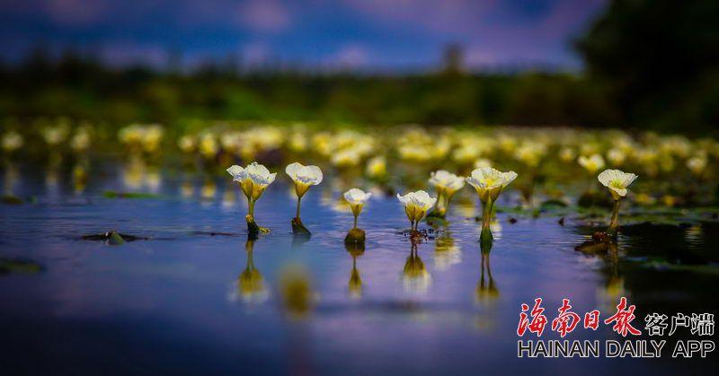國家能源局:將出臺政策支持深遠海和農村風電!