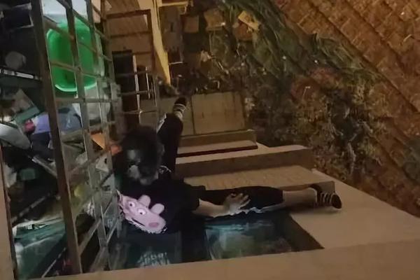 國網(wǎng)山西2020年第一次國有企業(yè)職工家屬區(qū)供電設施接收改造工程物資招標