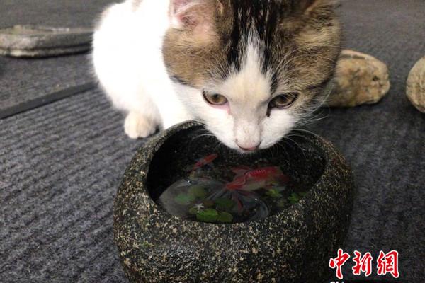 山東省綠色低碳高質量發展先行區建設試點名單公示