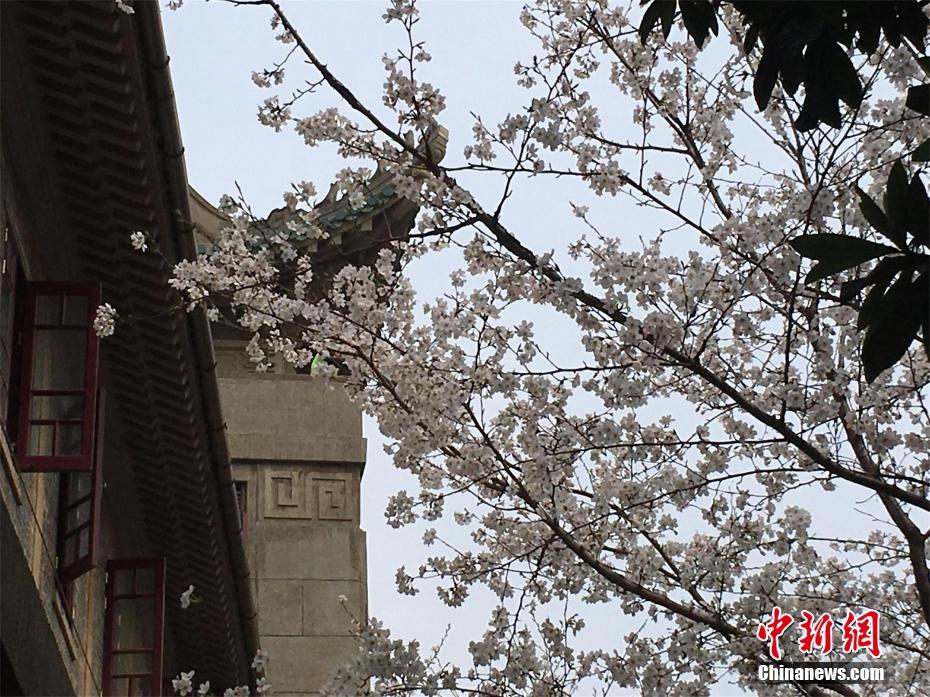 微語錄精選1123:當代文房四寶