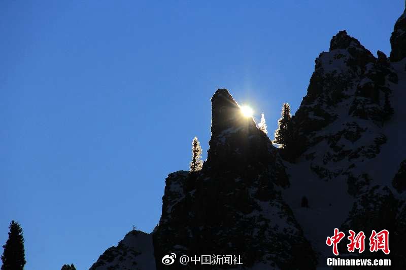 山東發熱門診、定點醫院能力大幅提升 全省日最大接診能力達134萬