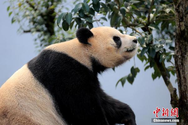 氫能熱電聯供前景幾何?