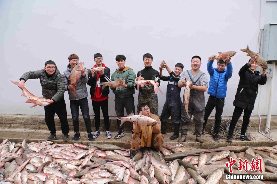 山東&ldquo;硬核&rdquo;舉措穩外資！用好自貿試驗區等開放平臺，前五個月實