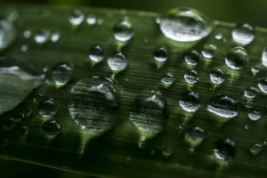 年輕人獨居，是真香還是真慘