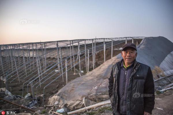 售電市場會形成寡頭壟斷？ 電力市場四位大拿的高端對話