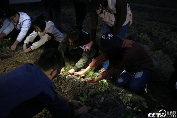 30MW/60MWh！中廣核新能源寧夏靈武共享儲能電站項目EPC總承包工程重新招標
