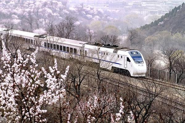 北京電力交易中心2020年11月市場化交易規模8266億千瓦時