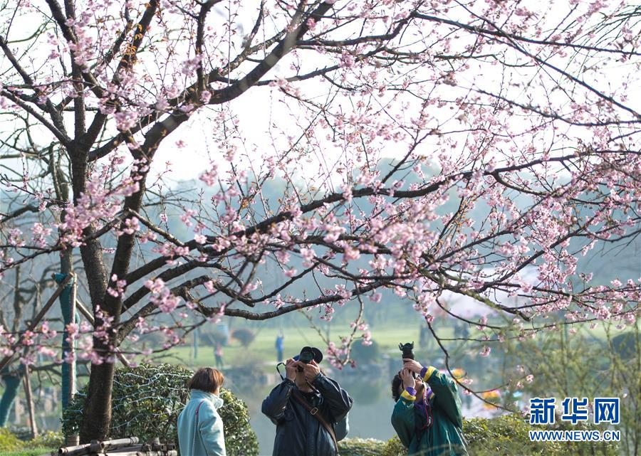 濟南市物價部門明確表示,這種收費屬于亂收費。