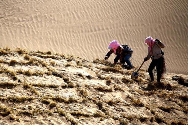 廣東電網公司:精準評估 讓山火風險可控在控