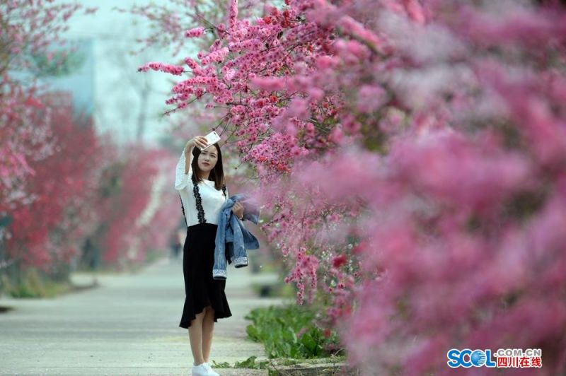 江西省第一條特高壓交流線路首次集中檢修