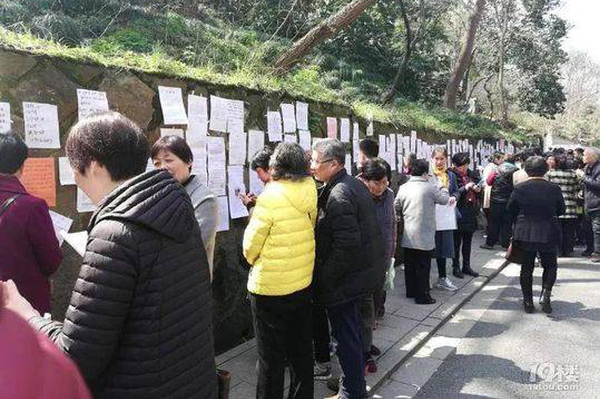 “特高壓交流同塔多回Q460高強鋼管塔成套設計及加工技術研究”通過驗收